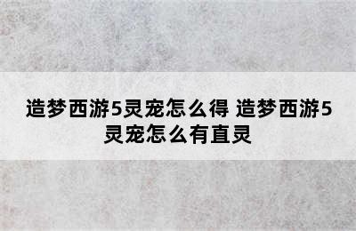 造梦西游5灵宠怎么得 造梦西游5灵宠怎么有直灵